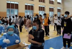 圆谷公司最新爆料消息,最新消息揭示神秘奥特曼起源与未来动向