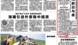 网红湾最新爆料新闻报道,最新热点事件内幕大揭秘