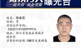 福建省最新爆料案件公布,揭秘背后惊人真相